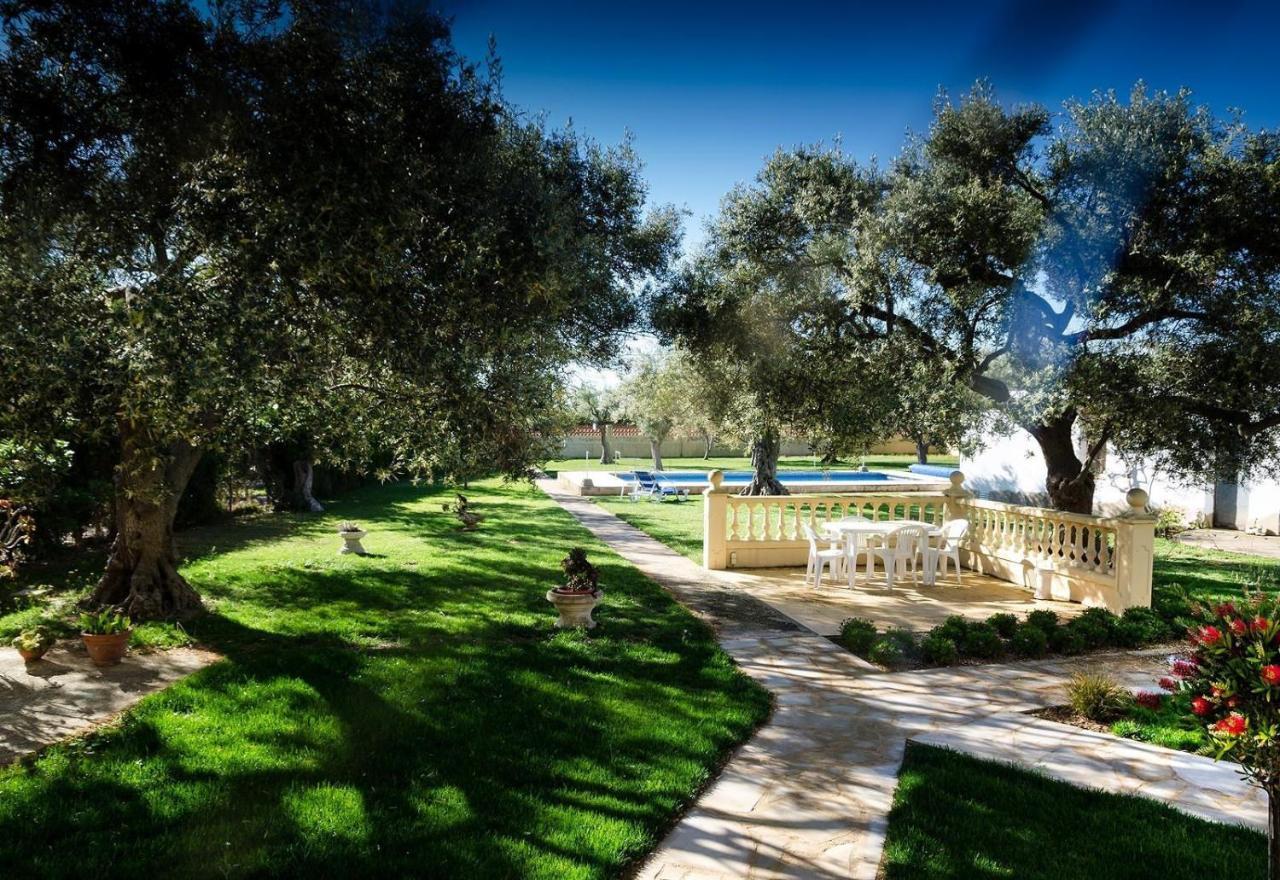 Villa With Great Pool Dog Friendly Vinarós Екстериор снимка
